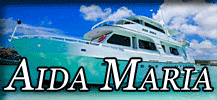 Aida Maria button